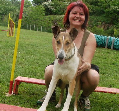 DARJA A COFI